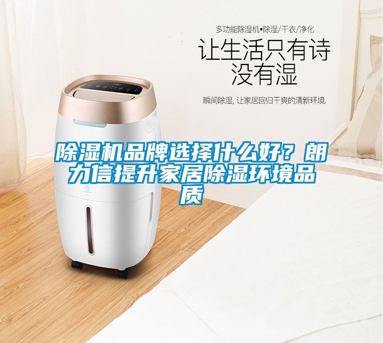 除濕機品牌選擇什么好？朗力信提升家居除濕環境品質