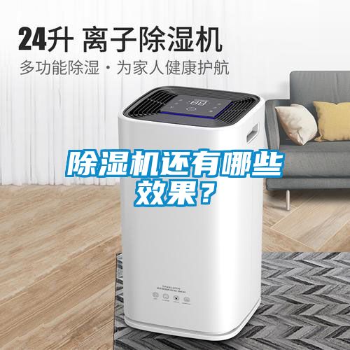 除濕機還有哪些效果？