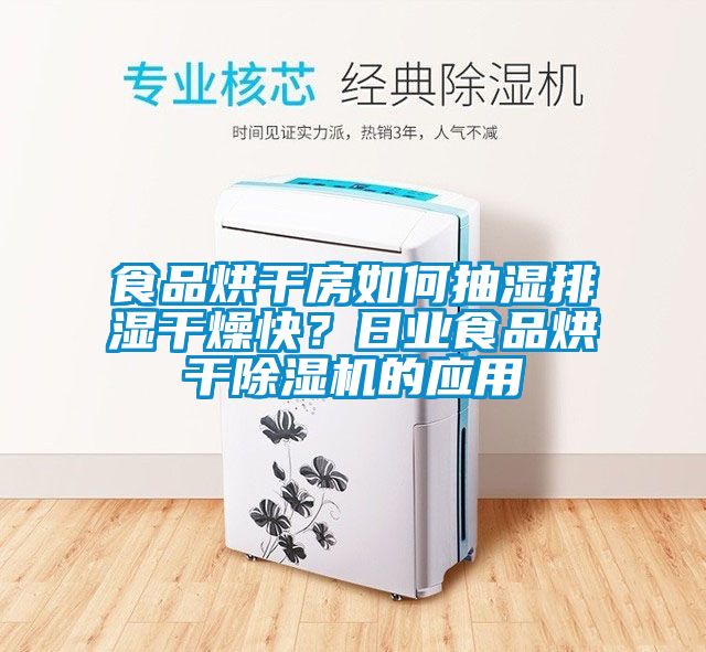 食品烘干房如何抽濕排濕干燥快？日業食品烘干除濕機的應用
