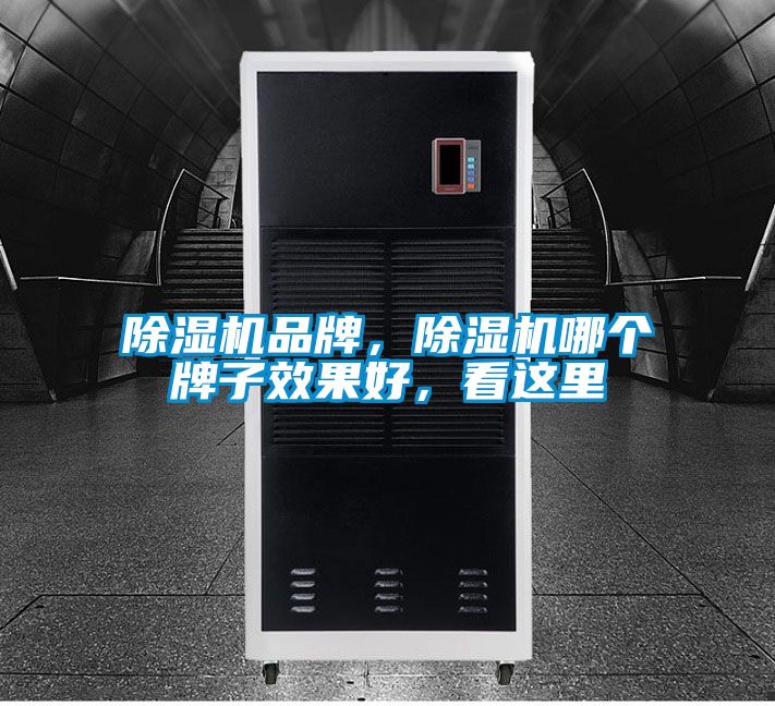 除濕機品牌，除濕機哪個牌子效果好，看這里