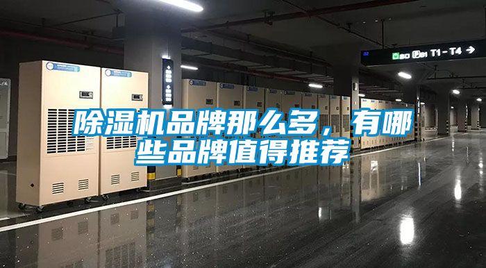 除濕機品牌那么多，有哪些品牌值得推薦
