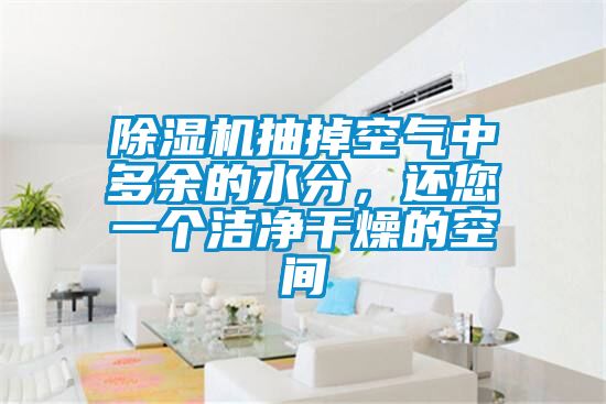 除濕機抽掉空氣中多余的水分，還您一個潔凈干燥的空間