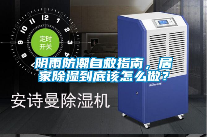 陰雨防潮自救指南，居家除濕到底該怎么做？