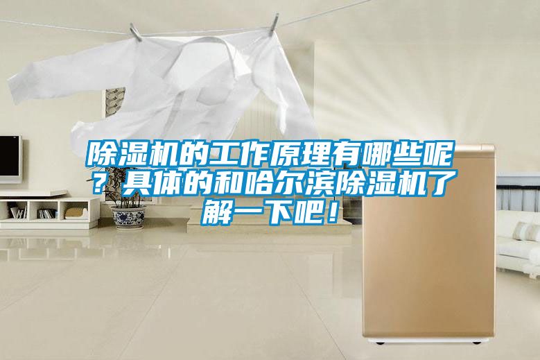 除濕機的工作原理有哪些呢？具體的和哈爾濱除濕機了解一下吧！