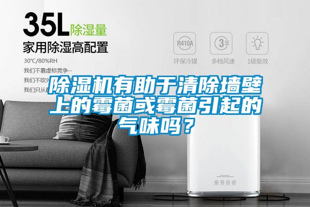 除濕機有助于清除墻壁上的霉菌或霉菌引起的氣味嗎？