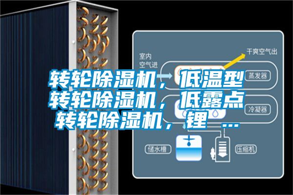 轉輪除濕機，低溫型轉輪除濕機，低露點轉輪除濕機，鋰 ...
