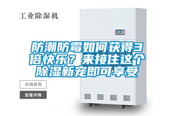 防潮防霉如何獲得3倍快樂？來接住這個除濕新寵即可享受