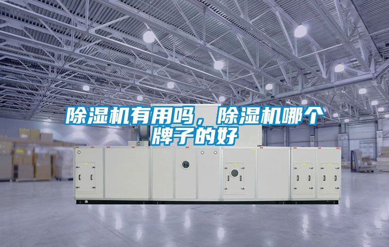 除濕機有用嗎，除濕機哪個牌子的好
