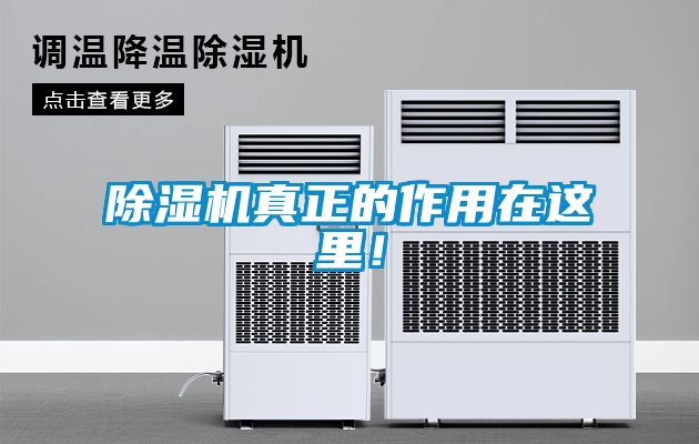 除濕機真正的作用在這里！