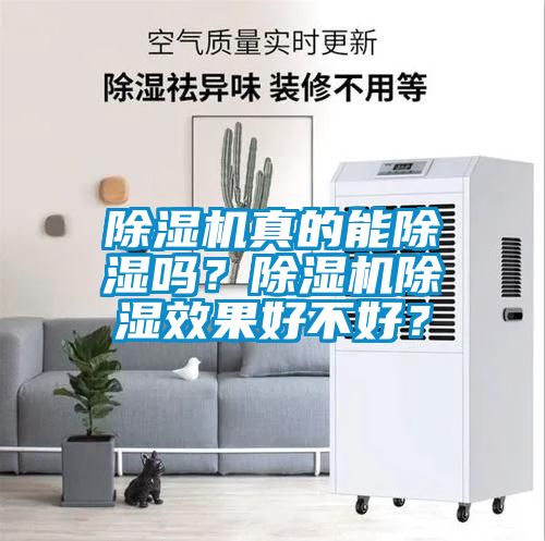 除濕機真的能除濕嗎？除濕機除濕效果好不好？