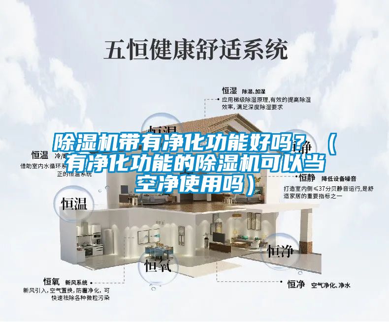 除濕機帶有凈化功能好嗎？（有凈化功能的除濕機可以當空凈使用嗎）