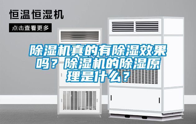 除濕機真的有除濕效果嗎？除濕機的除濕原理是什么？