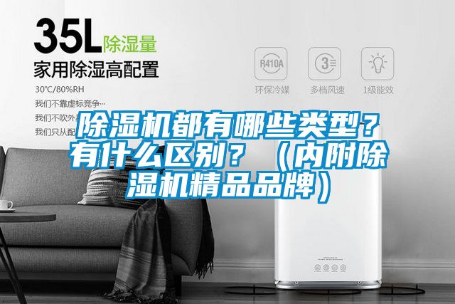 除濕機都有哪些類型？有什么區別？（內附除濕機精品品牌）
