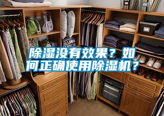 除濕沒有效果？如何正確使用除濕機？
