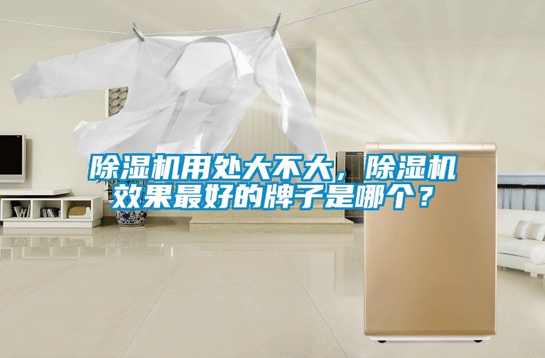 除濕機用處大不大，除濕機效果最好的牌子是哪個？