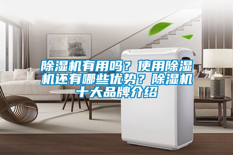 除濕機有用嗎？使用除濕機還有哪些優勢？除濕機十大品牌介紹