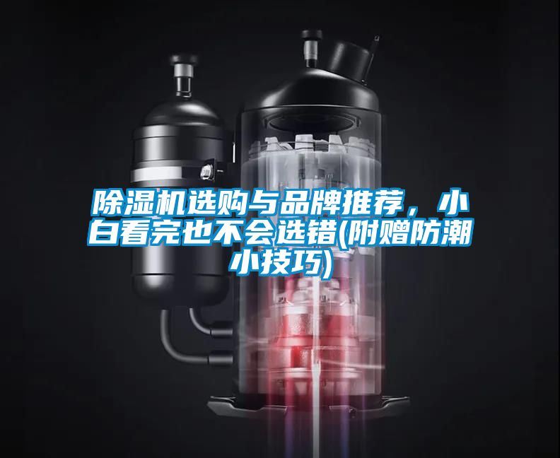 除濕機選購與品牌推薦，小白看完也不會選錯(附贈防潮小技巧)