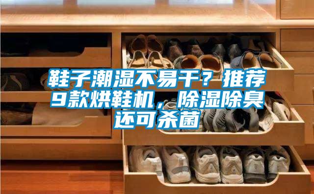 鞋子潮濕不易干？推薦9款烘鞋機，除濕除臭還可殺菌