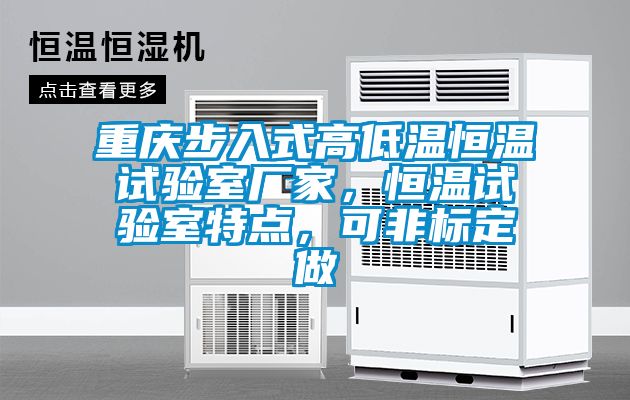 重慶步入式高低溫恒溫試驗室廠家，恒溫試驗室特點，可非標定做