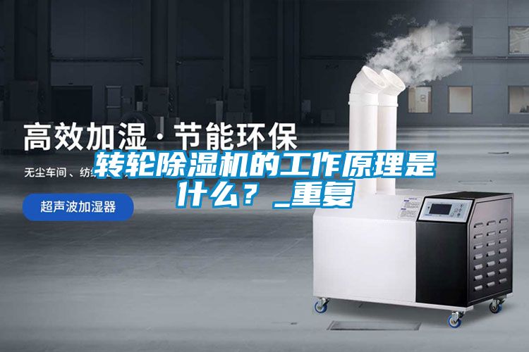 轉輪除濕機的工作原理是什么？_重復