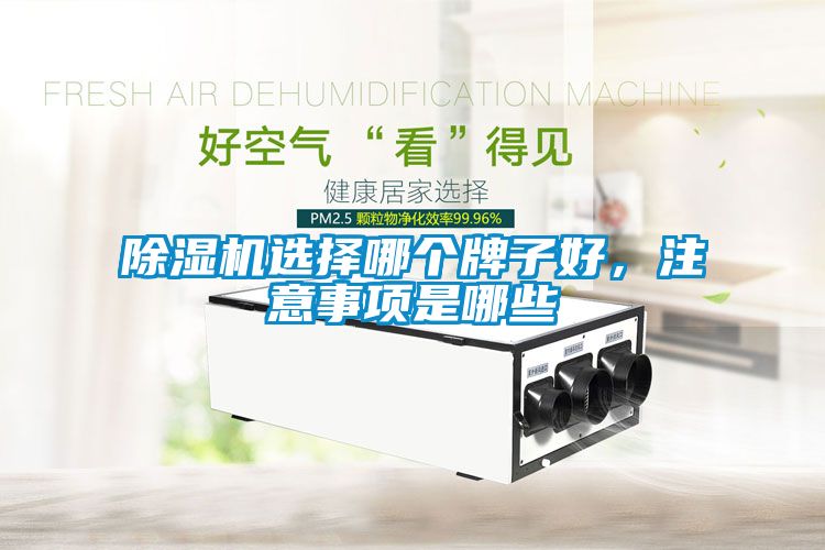 除濕機選擇哪個牌子好，注意事項是哪些