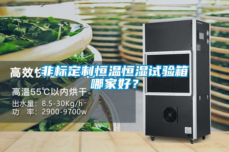 非標定制恒溫恒濕試驗箱哪家好？