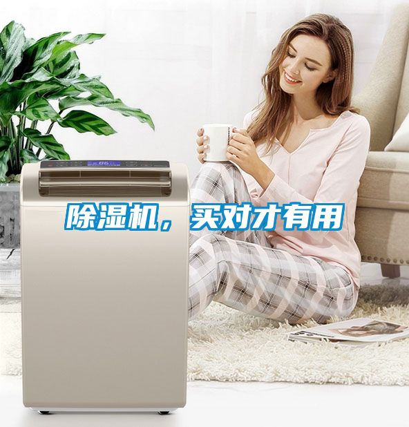 除濕機，買對才有用