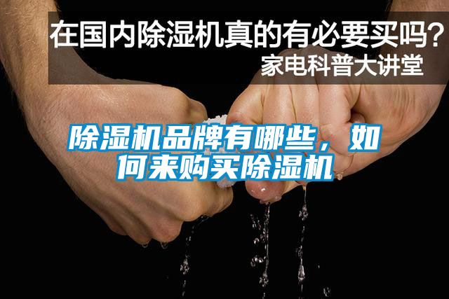 除濕機品牌有哪些，如何來購買除濕機
