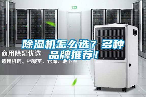 除濕機怎么選？多種品牌推薦！