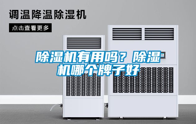 除濕機有用嗎？除濕機哪個牌子好