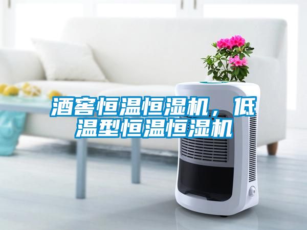 酒窖恒溫恒濕機，低溫型恒溫恒濕機