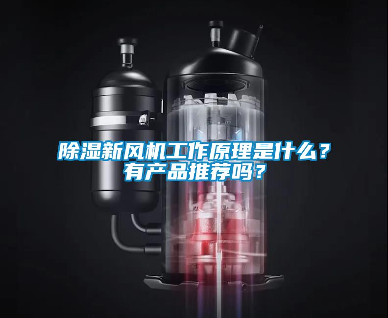 除濕新風機工作原理是什么？有產品推薦嗎？