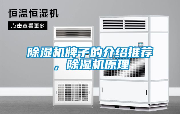 除濕機牌子的介紹推薦，除濕機原理