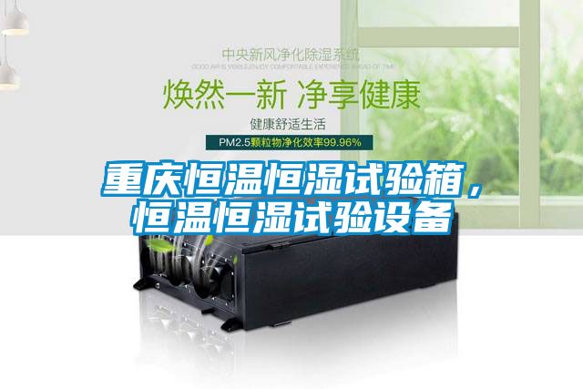 重慶恒溫恒濕試驗箱，恒溫恒濕試驗設備