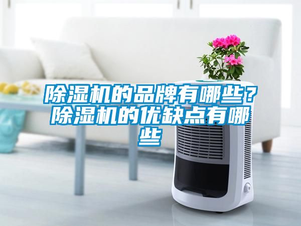 除濕機的品牌有哪些？除濕機的優缺點有哪些