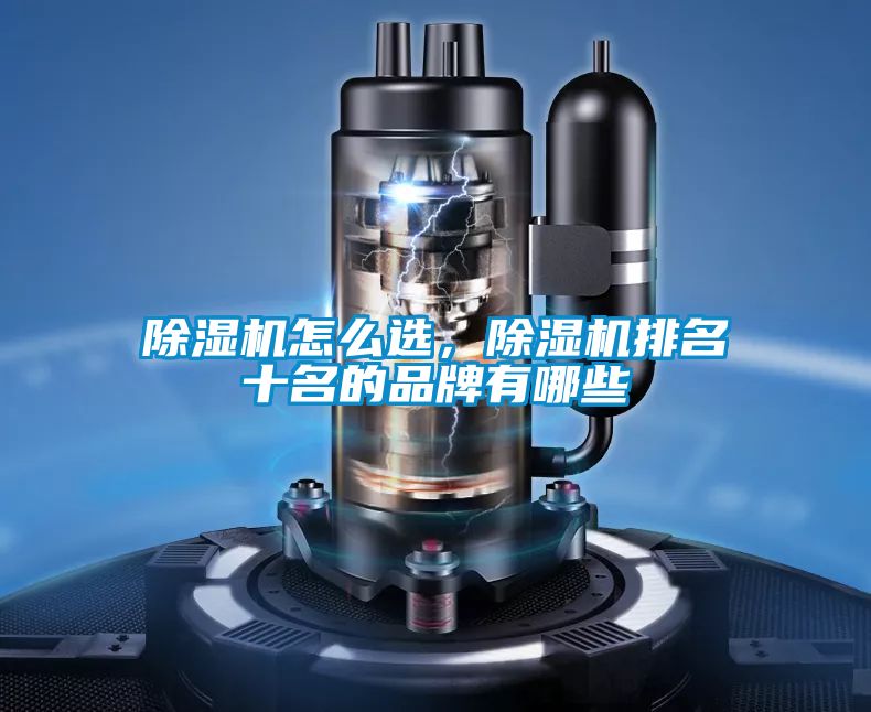 除濕機怎么選，除濕機排名十名的品牌有哪些