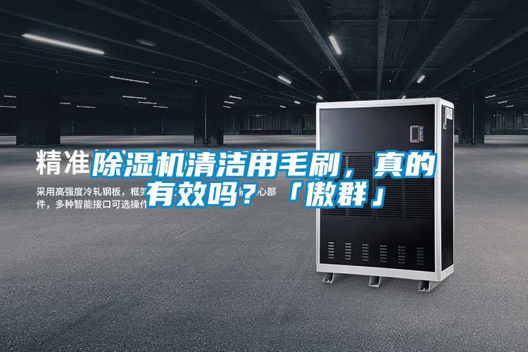 除濕機清潔用毛刷，真的有效嗎？「傲群」