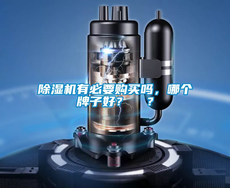 除濕機有必要購買嗎，哪個牌子好？  ？