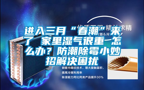 進入三月“春潮”來了 家里濕氣很重 怎么辦？防潮除霉小妙招解決困擾