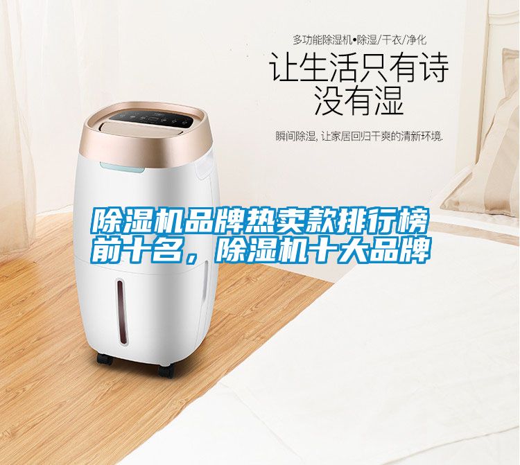 除濕機品牌熱賣款排行榜前十名，除濕機十大品牌