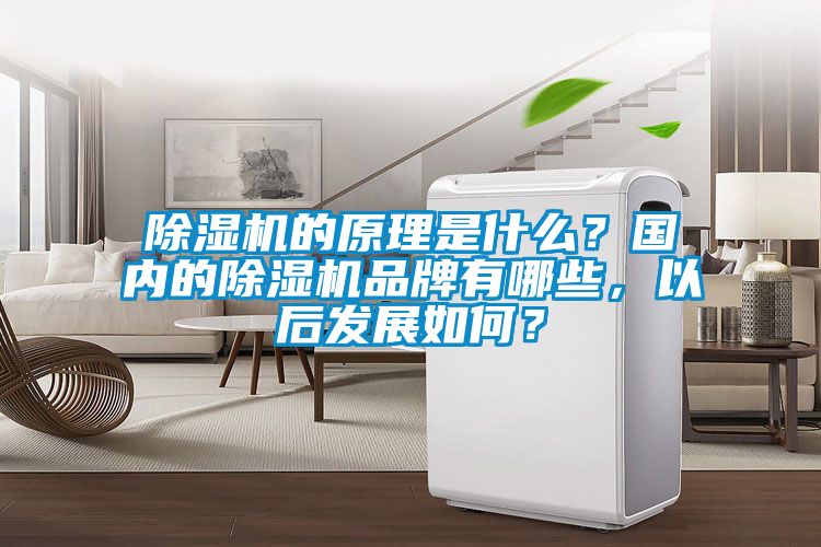 除濕機的原理是什么？國內的除濕機品牌有哪些，以后發展如何？