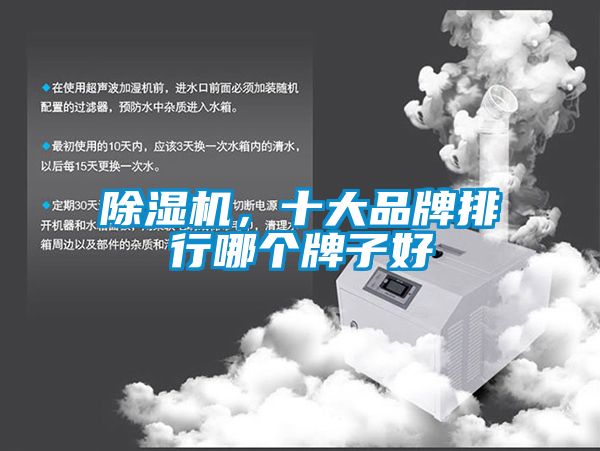 除濕機，十大品牌排行哪個牌子好