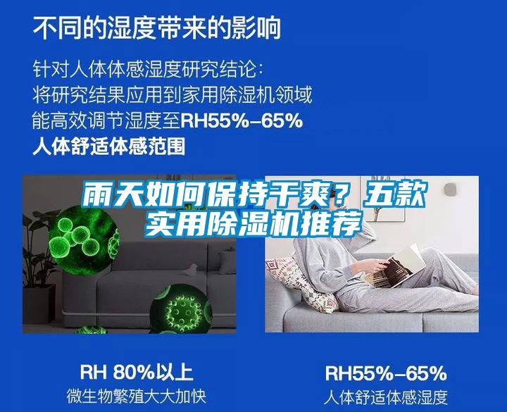 雨天如何保持干爽？五款實用除濕機推薦