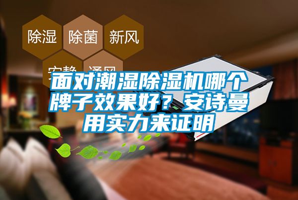 面對潮濕除濕機哪個牌子效果好？安詩曼用實力來證明
