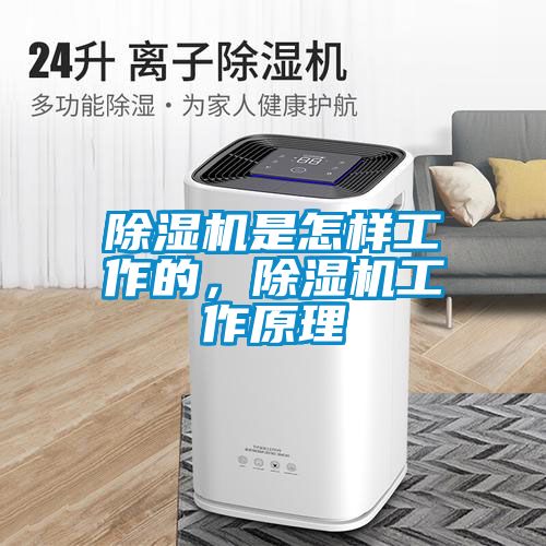 除濕機是怎樣工作的，除濕機工作原理