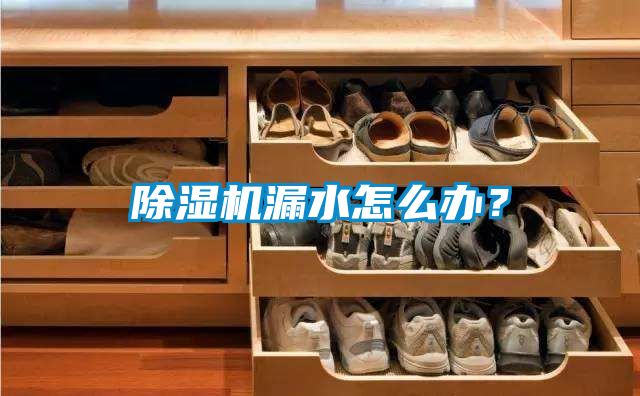 除濕機漏水怎么辦？