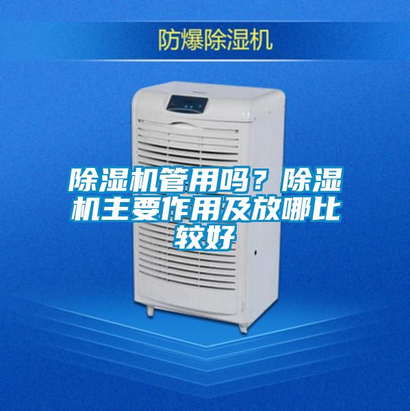 除濕機管用嗎？除濕機主要作用及放哪比較好