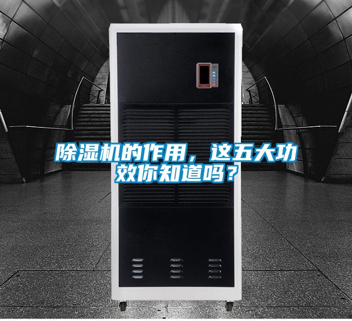 除濕機的作用，這五大功效你知道嗎？