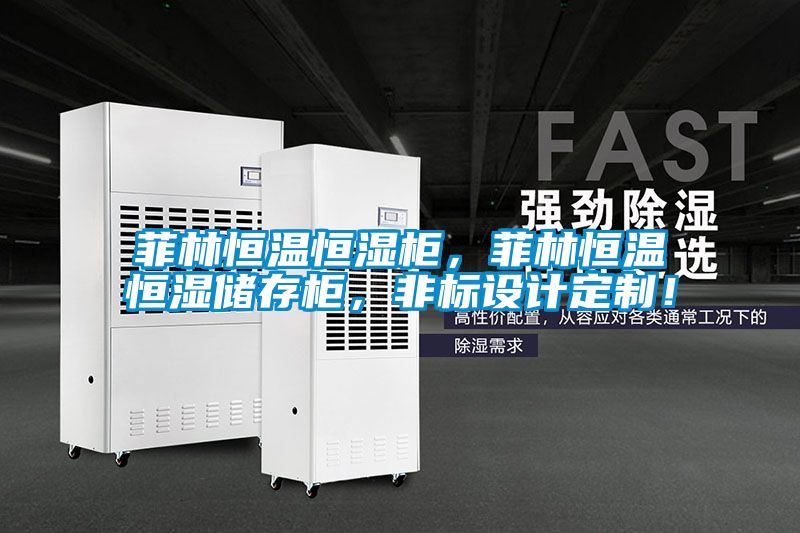 菲林恒溫恒濕柜，菲林恒溫恒濕儲存柜，非標設計定制！