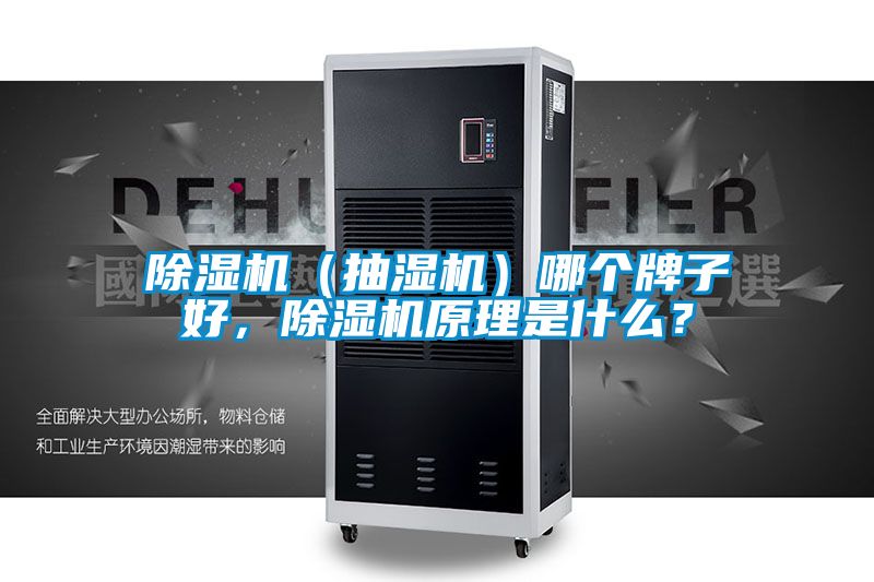 除濕機（抽濕機）哪個牌子好，除濕機原理是什么？